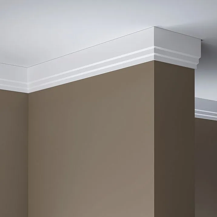 Baseboard/Ceiling Molding PLT-006 in interior