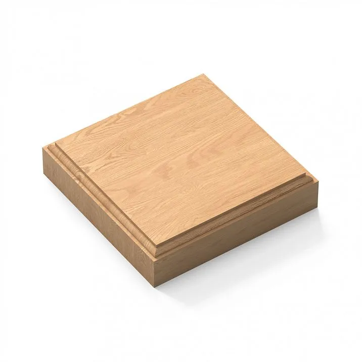 RS-001 connecting socket top view