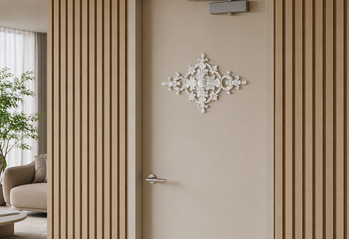 Door in a slatted wall with a door closer and decorative overlay NPU-154