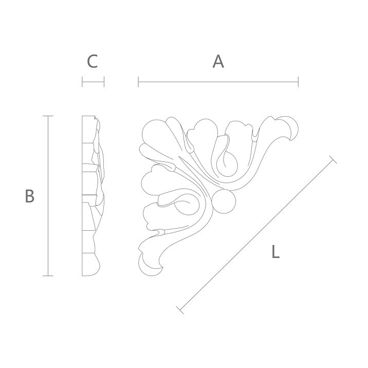 Overlay decorative element in classic style drawing
