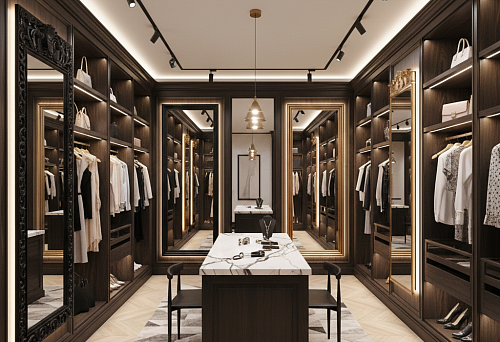 Dressing room as a showroom with dark cabinets, mirrors in frames, expressive baseboards, and showcase shelf lighting