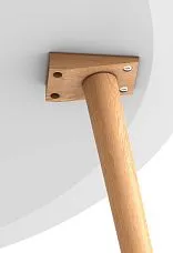 Mounting plate for countertops