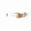Carved molding cap N-402R, set for MLD-004 (A=57 B=29 C=13 mm) (Beech, Prestige)